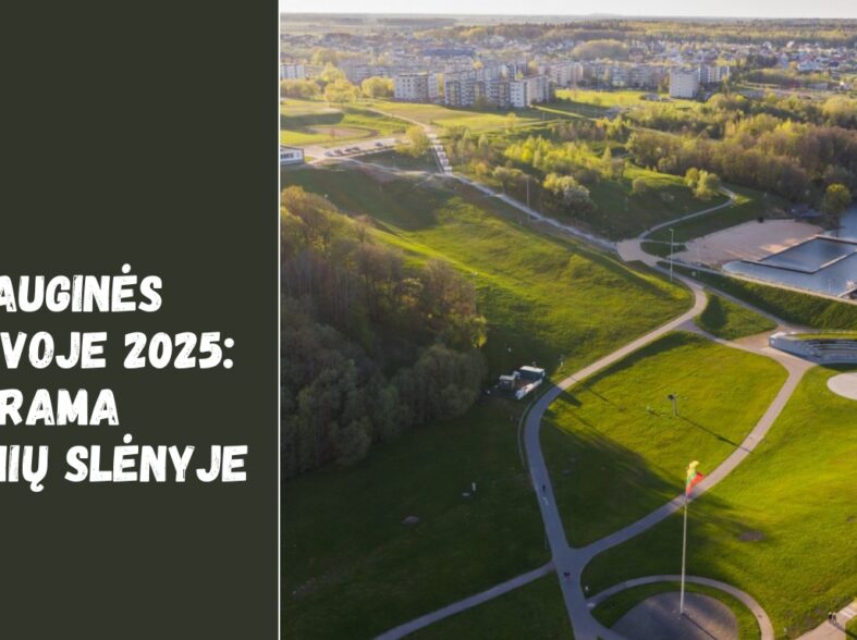Mindauginės Jonavoje 2025