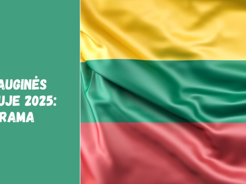 Mindauginės Vilniuje 2025: Programa