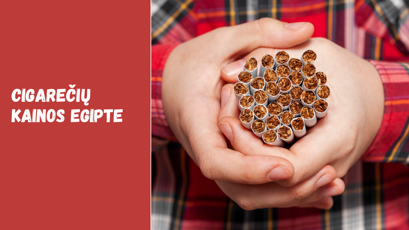 Cigarečių kainos Egipte
