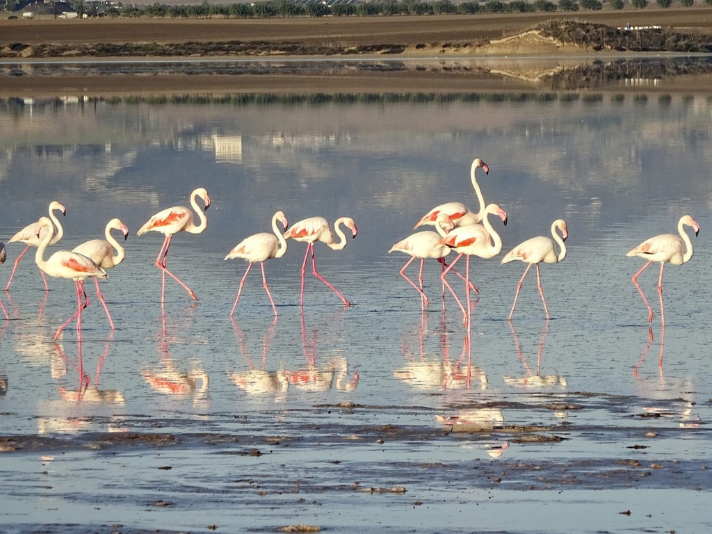 Kelionė į Kiprą: lankytinos vietos, kurias būtina pamatyti