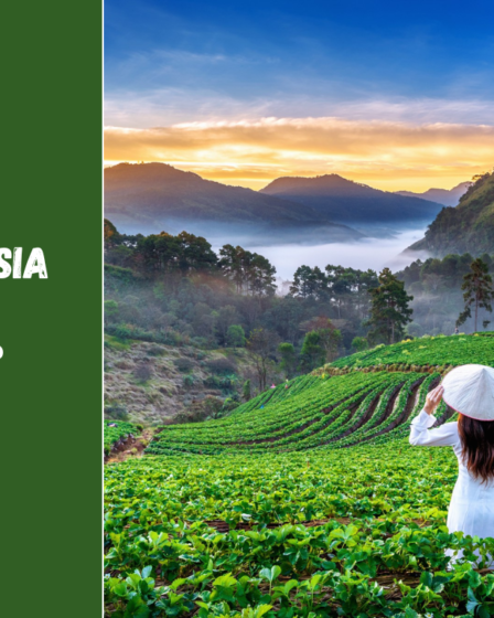 Kada geriausia keliauti į Vietnamą?
