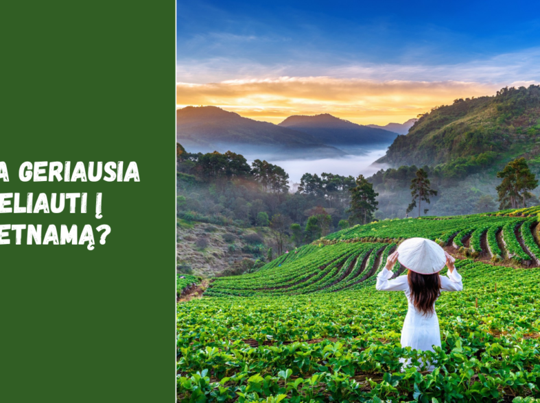 Kada geriausia keliauti į Vietnamą?