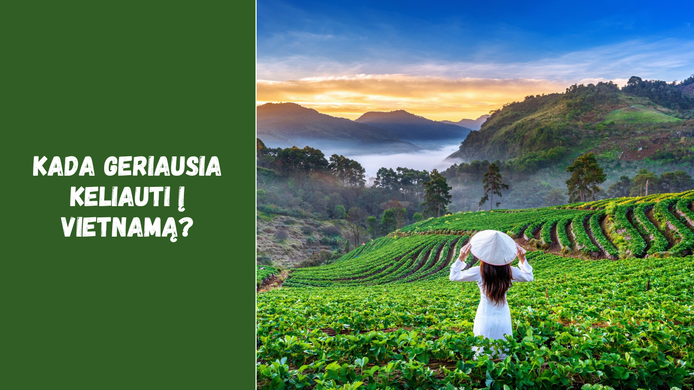 Kada geriausia keliauti į Vietnamą?
