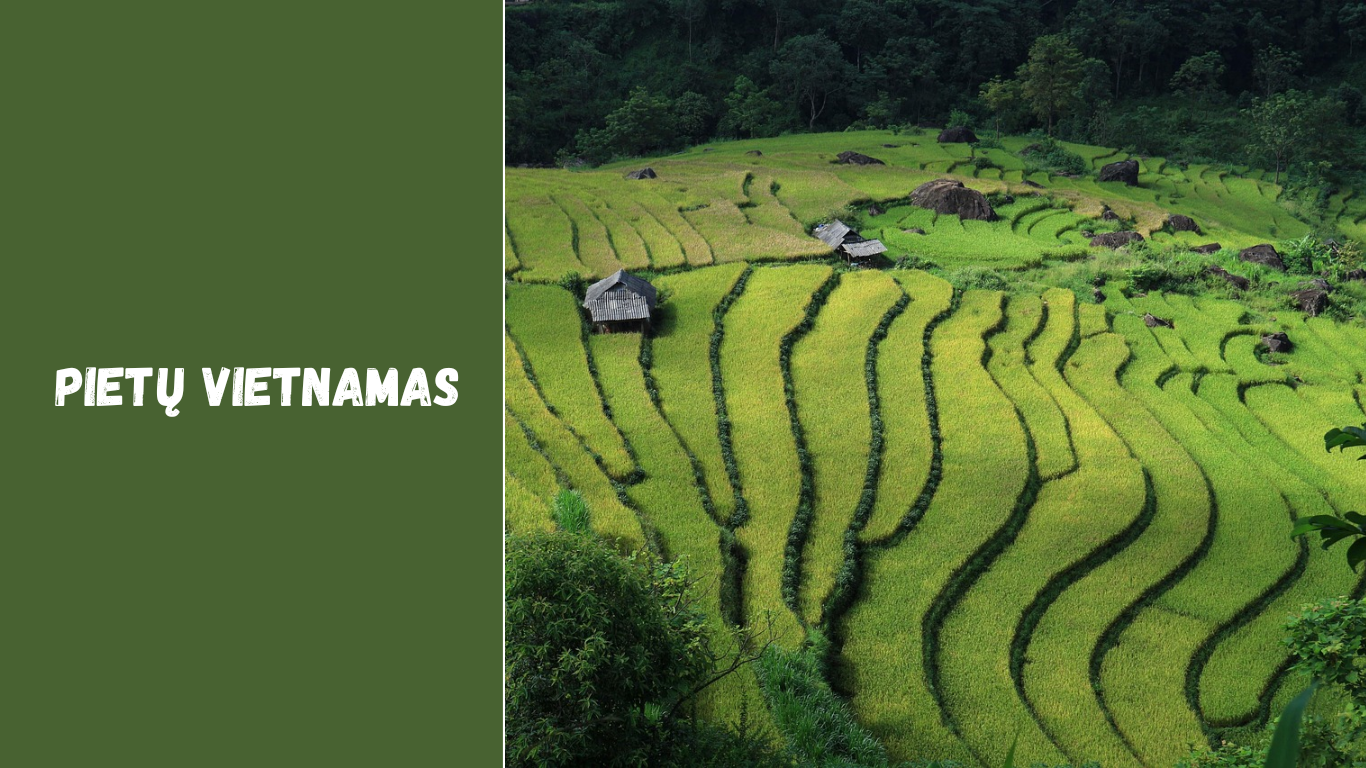Pietų Vietnamas