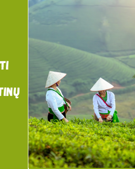 Ką pamatyti Vietname: TOP 10 lankytinų vietų