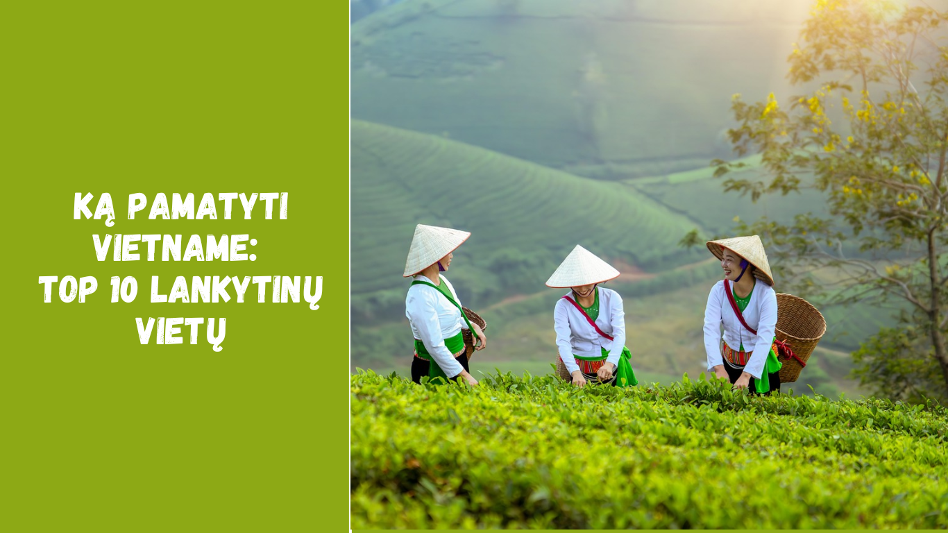 Ką pamatyti Vietname: TOP 10 lankytinų vietų