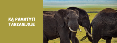Ką pamatyti Tanzanijoje: TOP 10 lankytinų vietų