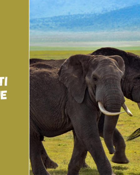 Ką pamatyti Tanzanijoje