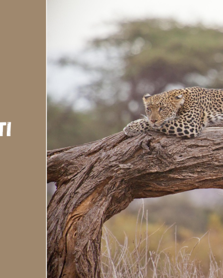 Ką pamatyti Kenijoje