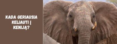 Kada geriausia keliauti į Keniją? Klimato, sezonų ir safarių gidas