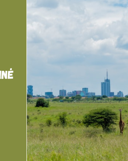 Kenijos sostinė Nairobis – kontrastų miestas tarp džiunglių ir dangoraižių