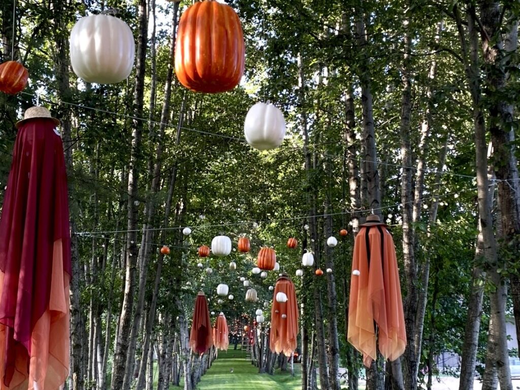 Ovos parkas – magiškas rudens pasaulis (Kauno rajonas)