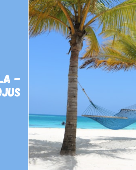 Zanzibaro sala – Tanzanijos rojus su balto smėlio paplūdimiais ir prieskonių aromatu