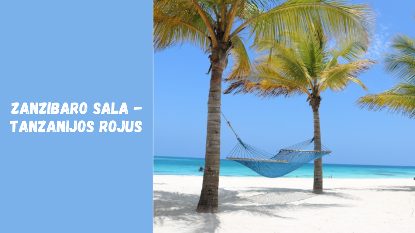 Zanzibaro sala – Tanzanijos rojus su balto smėlio paplūdimiais ir prieskonių aromatu