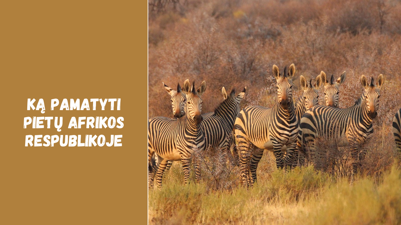 Ką pamatyti Pietų Afrikos Respublikoje