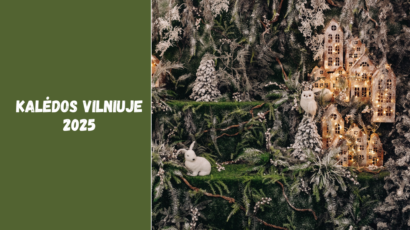 Kalėdos Vilniuje 2025: stebuklų, šviesų ir žiemos magijos sostinė