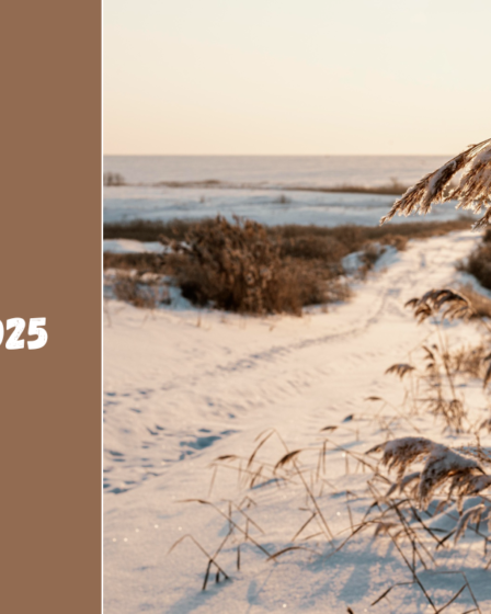 Šventinė Palanga 2025: Kalėdų dvasia prie Baltijos jūros