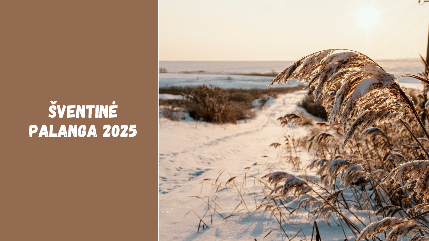 Šventinė Palanga 2025: Kalėdų dvasia prie Baltijos jūros