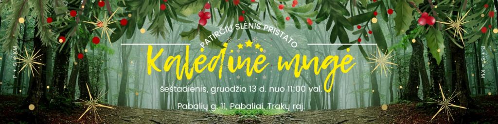 Kalėdiniai renginiai Trakuose 2025: ką pamatyti ir kur nuvykti per šventes?