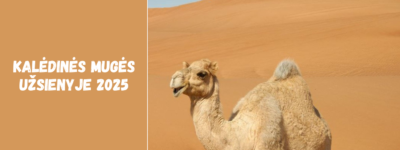 Indijos dykumos – Tharo karštis ir kultūros atspindžiai