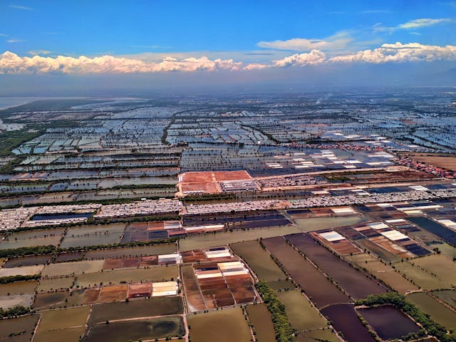 Borneo (Kalimantano) sala – gilaus miško širdyje