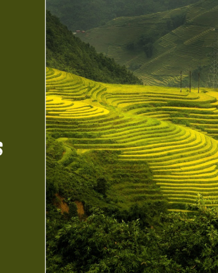 Šiaurės Vietnamas – kalnai, ryžių terasos ir senoviniai miestai