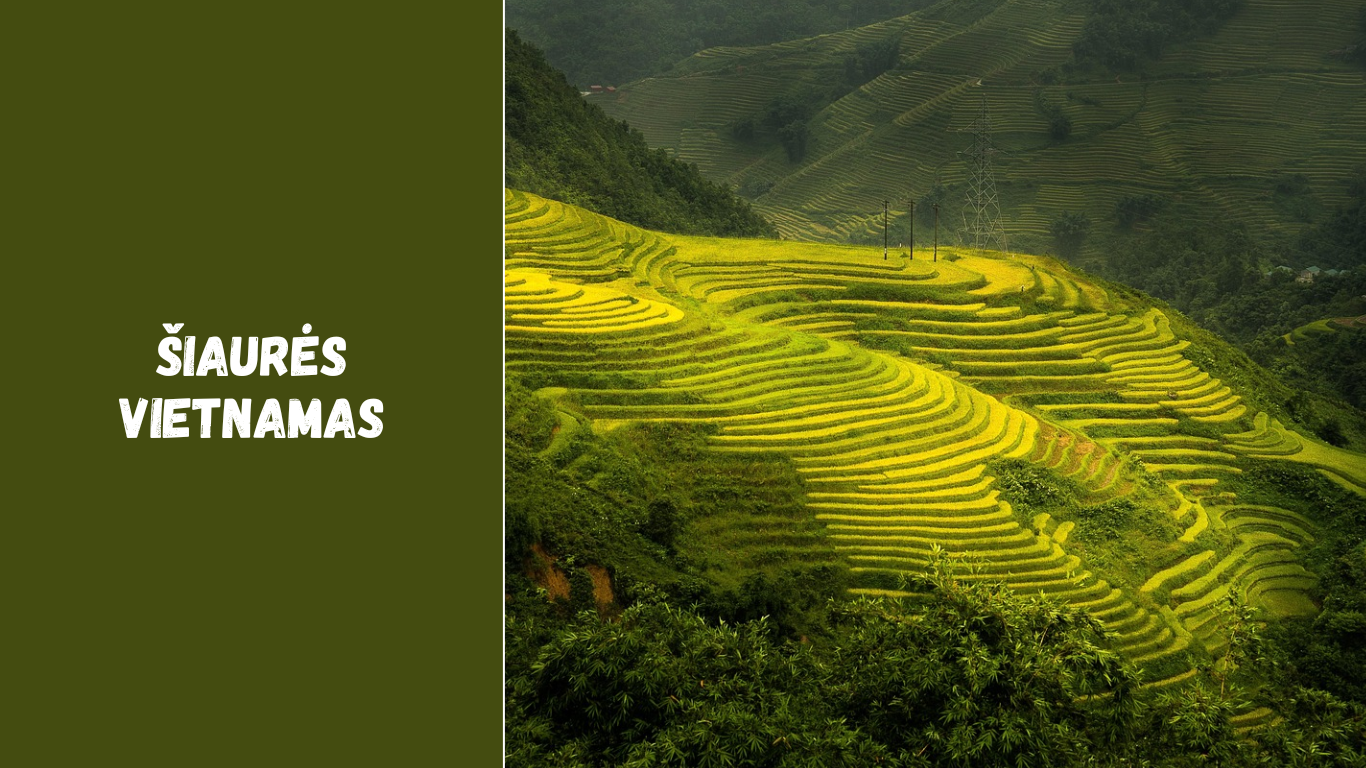 Šiaurės Vietnamas – kalnai, ryžių terasos ir senoviniai miestai