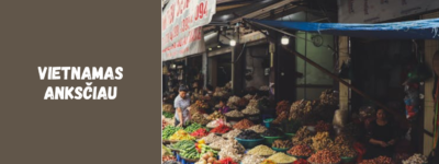 Vietnamas anksčiau – nuo karų iki šiuolaikinės ekonomikos pakilimo