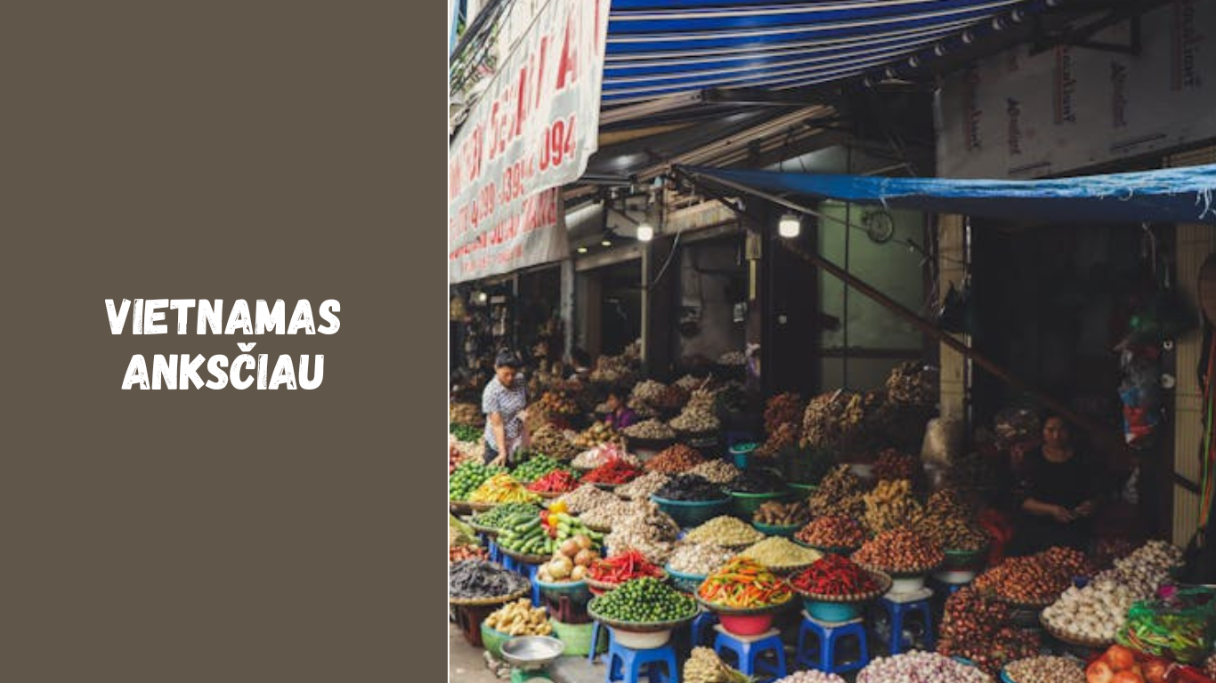 Vietnamas anksčiau – nuo karų iki šiuolaikinės ekonomikos pakilimo