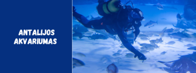 Antalijos akvariumas – ką pamatyti, kiek kainuoja ir ar verta aplankyti?