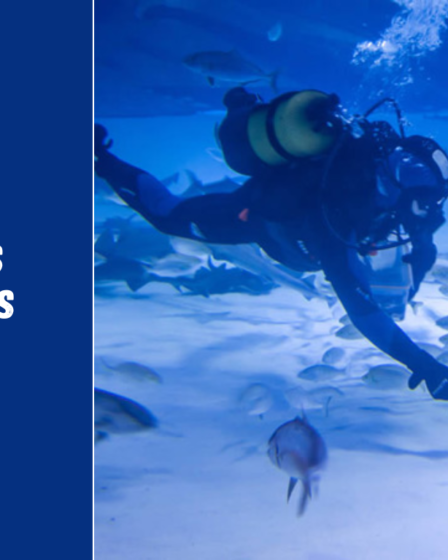 Antalijos akvariumas – ką pamatyti, kiek kainuoja ir ar verta aplankyti?