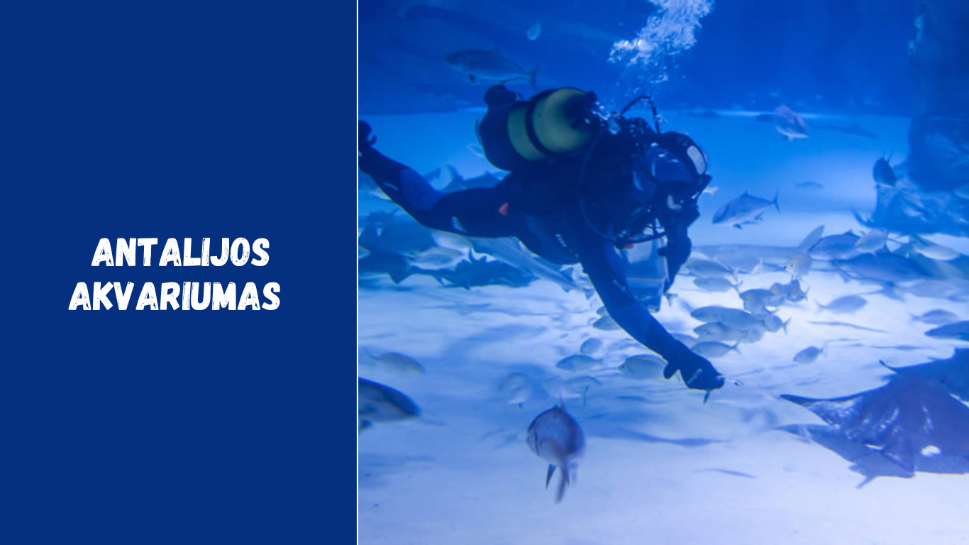 Antalijos akvariumas – ką pamatyti, kiek kainuoja ir ar verta aplankyti?