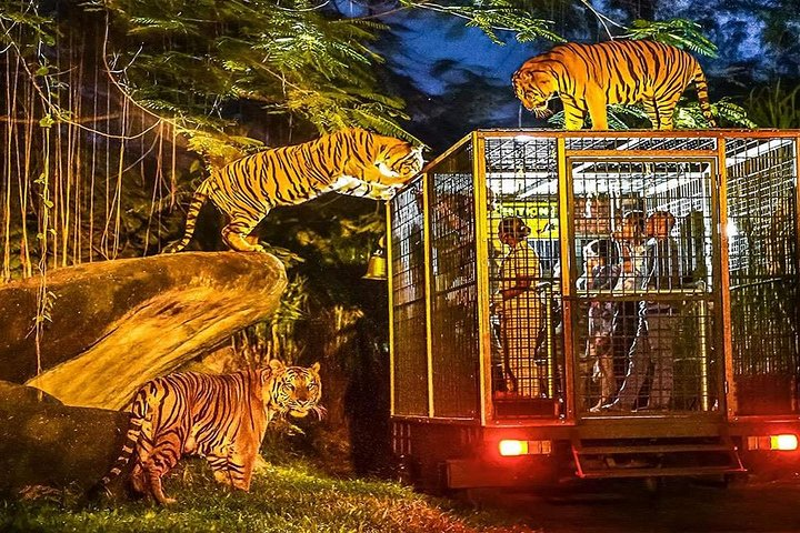 Ką pamatyti Balio saloje: TOP 10 lankytinų vietų