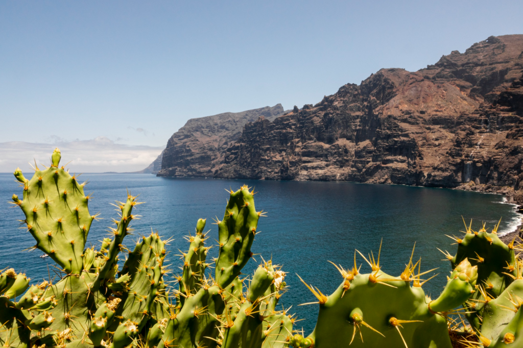 Pietinė Tenerifė: orai visus metus ir kada geriausia keliauti