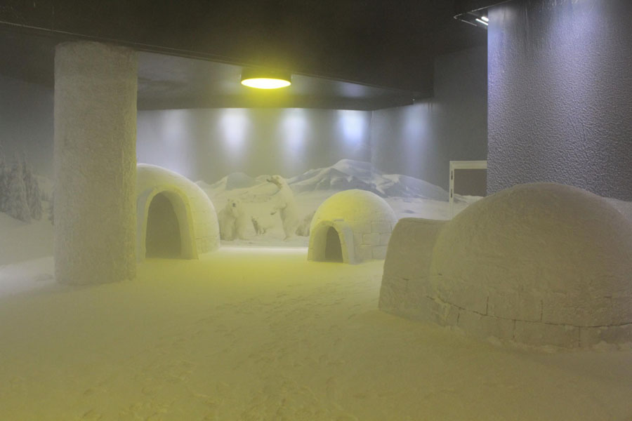 Antalijos akvariumas – ką pamatyti, kiek kainuoja ir ar verta aplankyti?