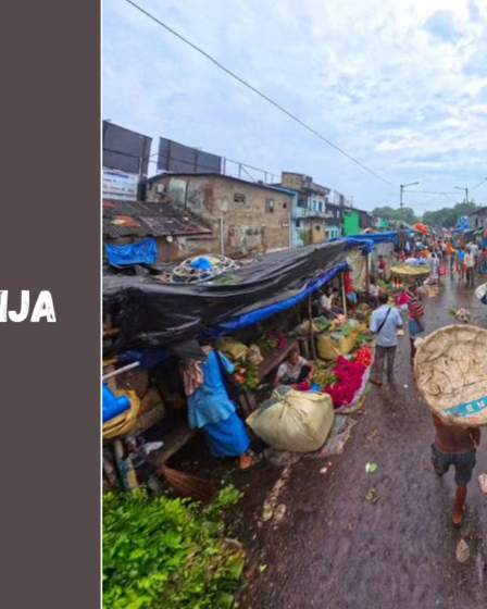 Indijos istorija – nuo senovės civilizacijų iki šiuolaikinės demokratijos