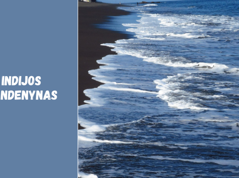 Indijos vandenynas – šiltų srovių ir egzotinių salų pasaulis