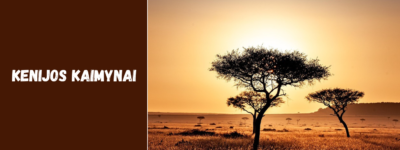 Kenijos kaimynai: su kokiomis šalimis dalijasi sienas ir kokie jų ryšiai