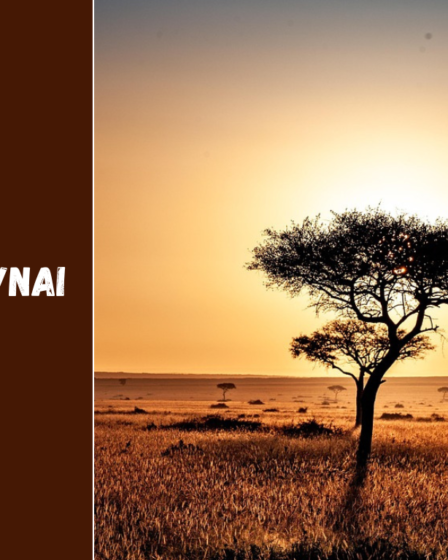 Kenijos kaimynai: su kokiomis šalimis dalijasi sienas ir kokie jų ryšiai