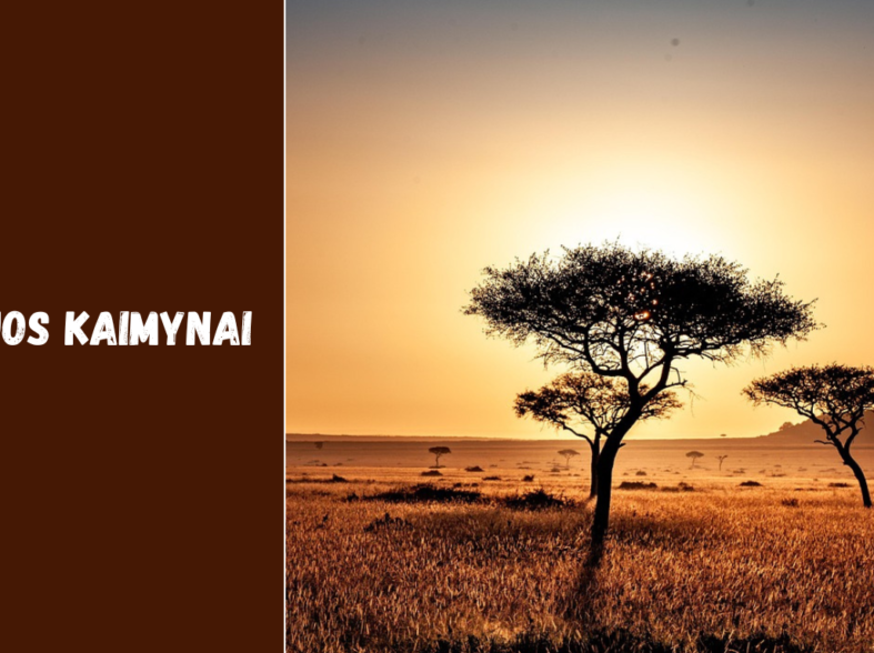 Kenijos kaimynai: su kokiomis šalimis dalijasi sienas ir kokie jų ryšiai