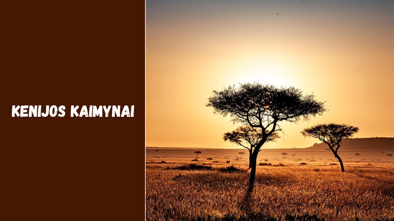 Kenijos kaimynai: su kokiomis šalimis dalijasi sienas ir kokie jų ryšiai