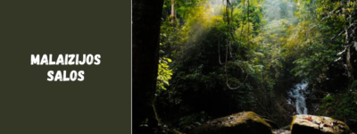 Malaizijos salos – nuo Borneo iki Penango: kur pasislėpti po palmėmis