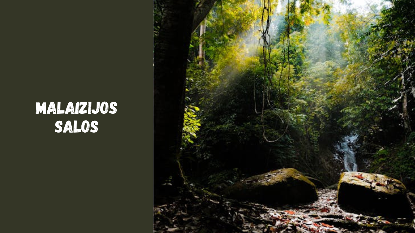 Malaizijos salos – nuo Borneo iki Penango: kur pasislėpti po palmėmis