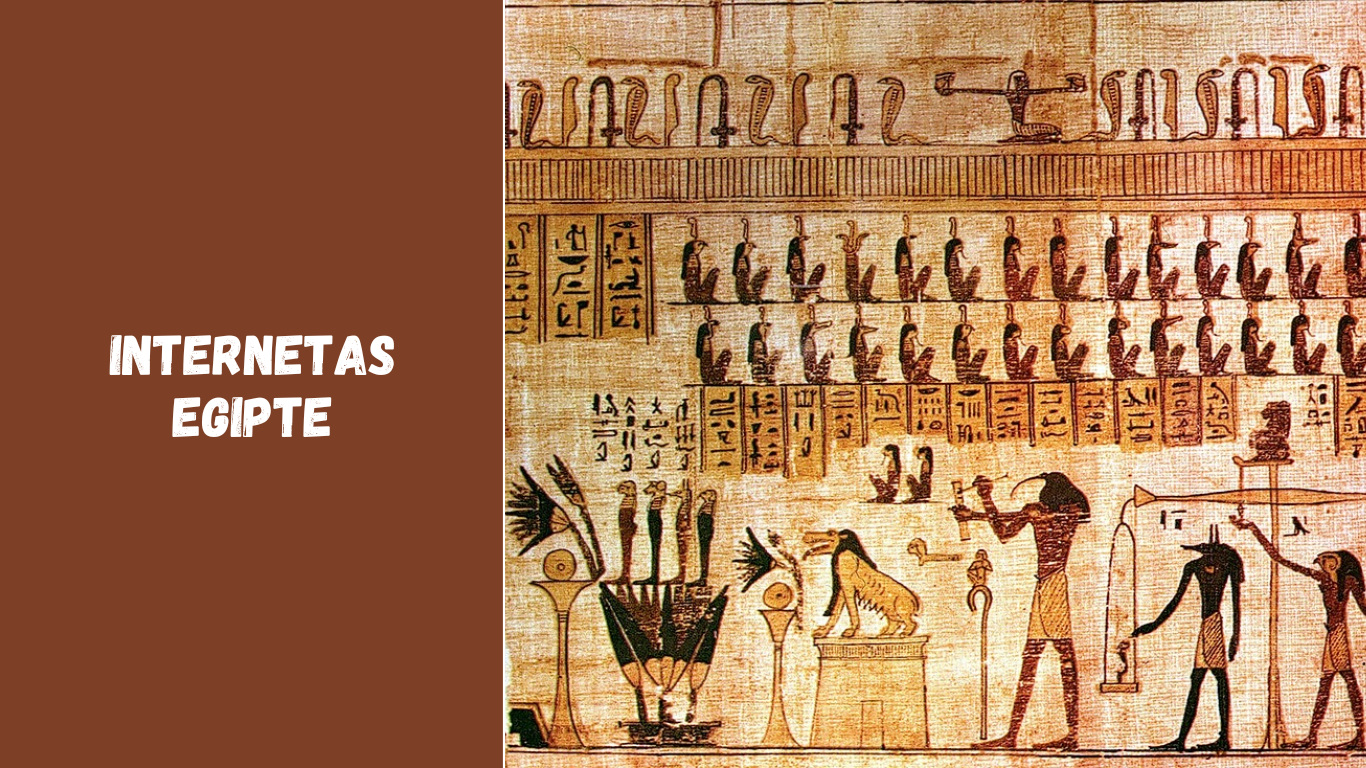 Internetas Egipte: kaip prisijungti, kiek kainuoja ir ką pasirinkti?