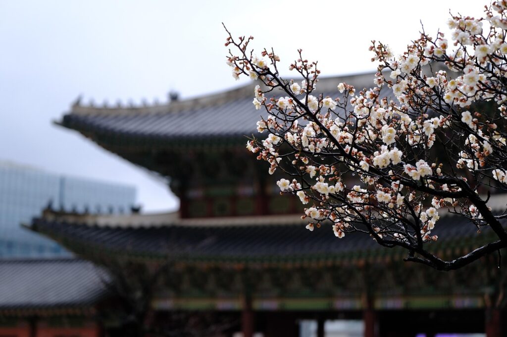 Gyeongbokgung rūmai