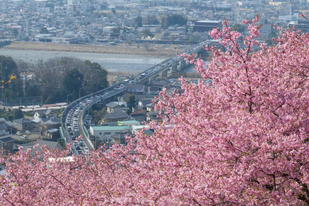 Keliautojų patirtys – kada Pietų Korėja paliko geriausią įspūdį?