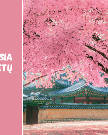 Kada geriausia keliauti į Pietų Korėją?