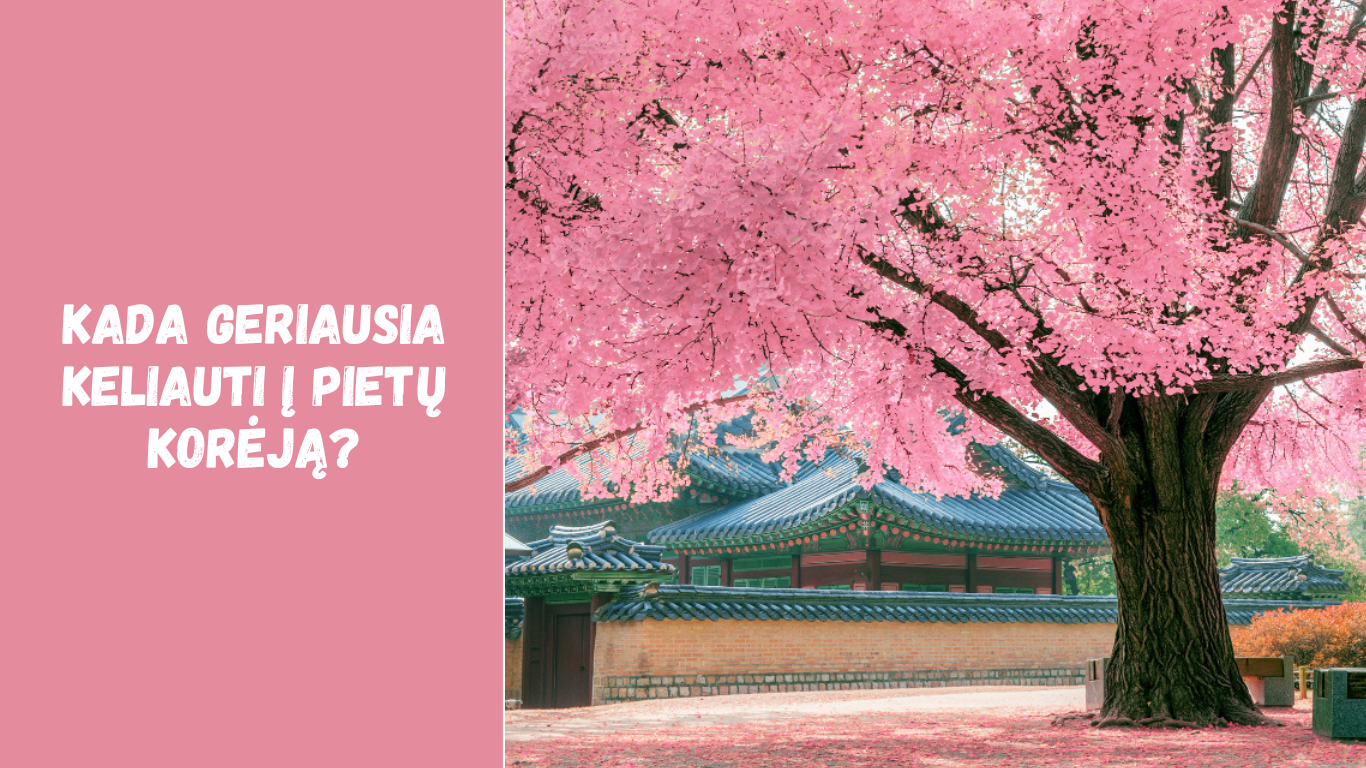 Kada geriausia keliauti į Pietų Korėją?