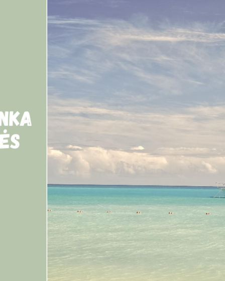 Meksikos įlanka ir pakrantės regionai