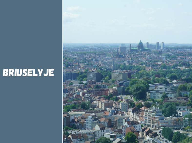 Orai Briuselyje: švelnus klimatas ir dažni krituliai